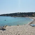 Beautiful Near Sea *
